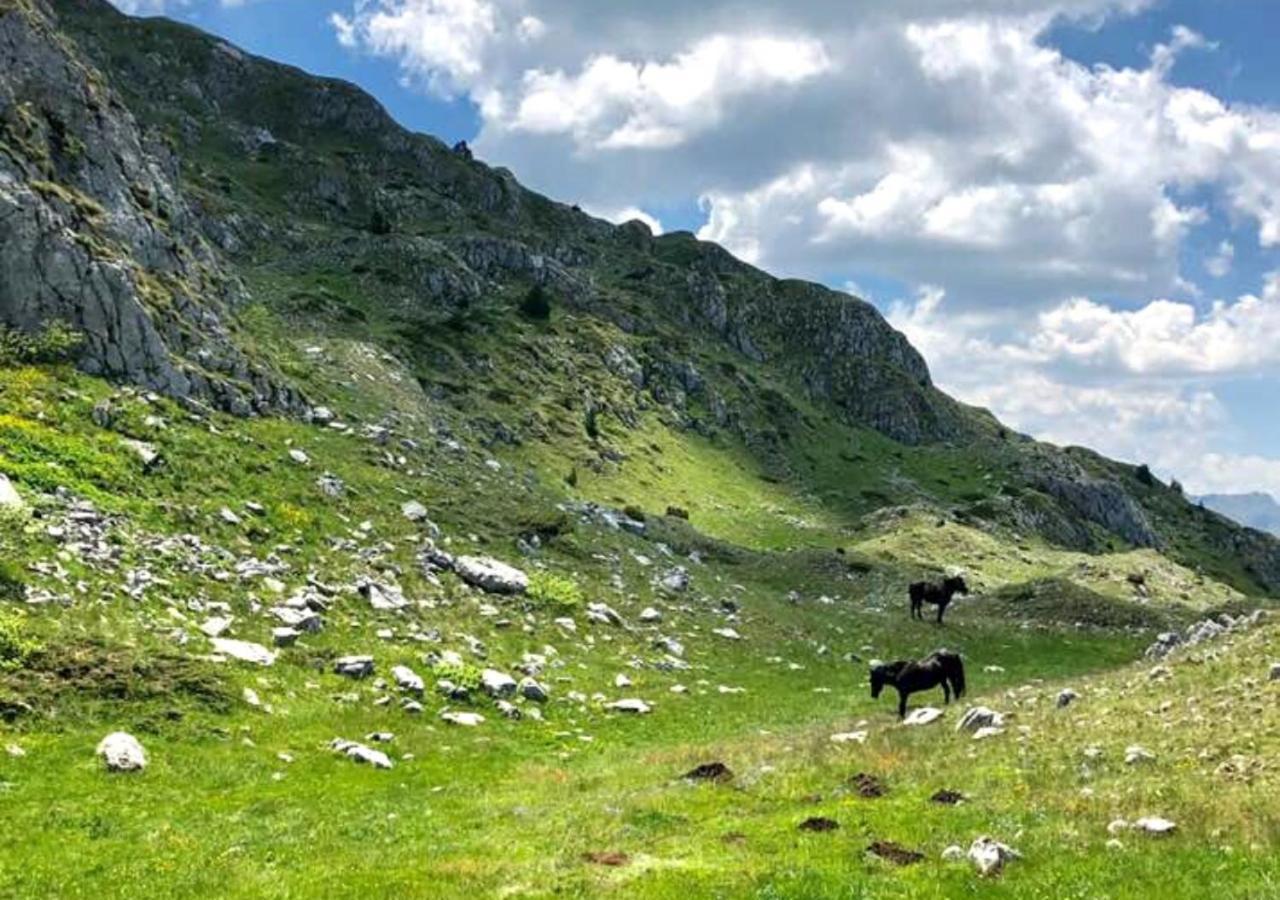 Apartamento Katun Kuline Kolašin Exterior foto