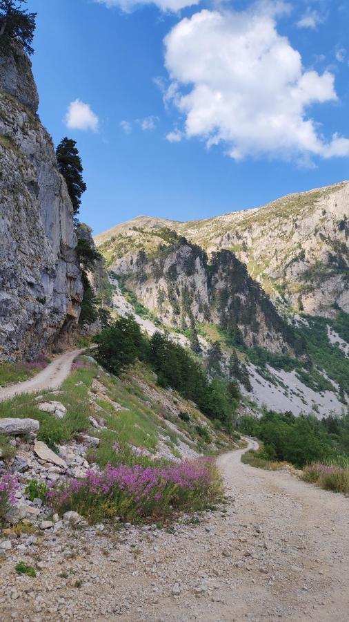 Apartamento Katun Kuline Kolašin Exterior foto