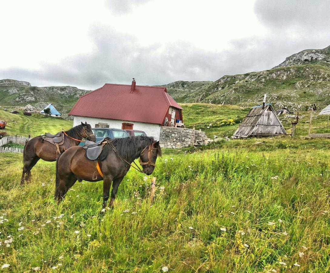 Apartamento Katun Kuline Kolašin Exterior foto
